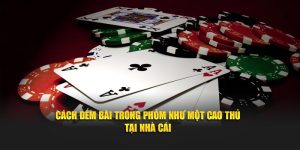 Cách Đếm Bài Trong Phỏm Như Một Cao Thủ Tại Nhà Cái